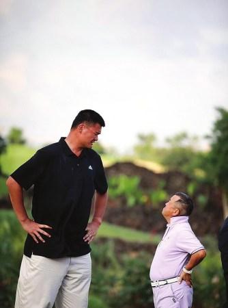 还能成为一 还能成为一