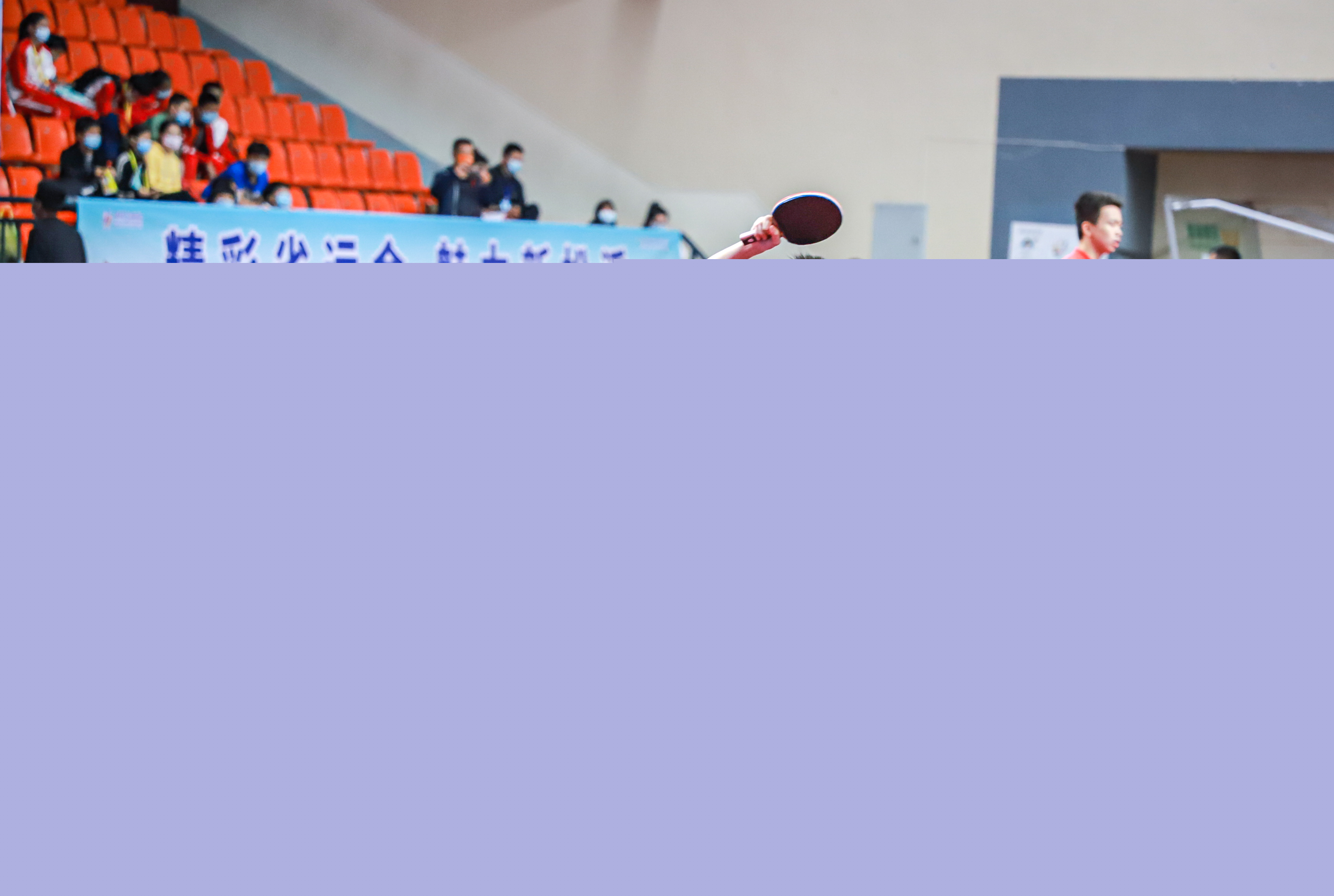 也为全民树 也为全民树