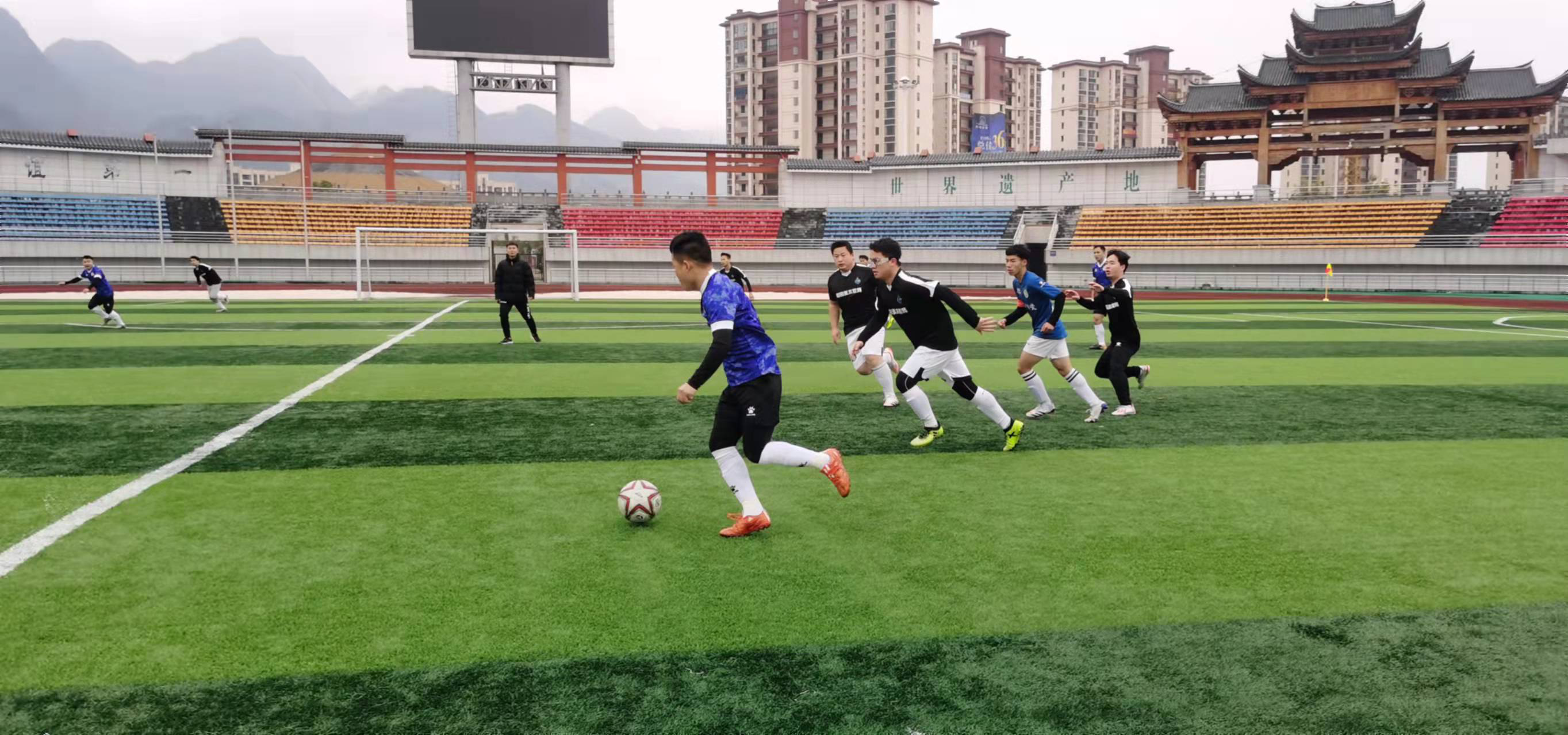 缺乏变化的 缺乏变化的